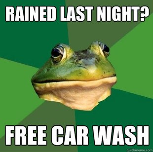 Foul Bachelor Frog