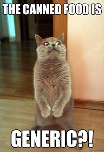 Horrorcat