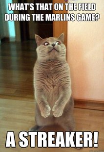 Horrorcat