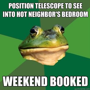 Foul Bachelor Frog