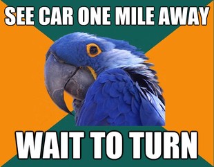 Paranoid Parrot