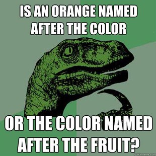 Philosoraptor