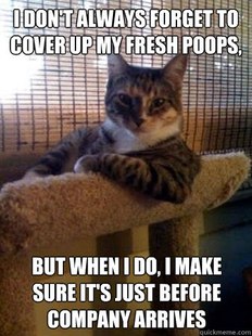 The Most Interesting Cat in the World