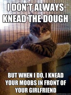 The Most Interesting Cat in the World