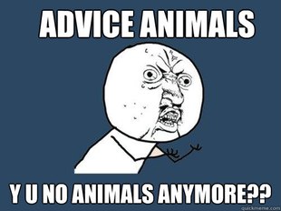 Y U No