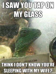 Leery Lizard