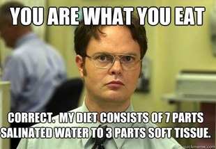 Schrute