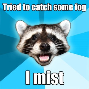 Lame Pun Coon