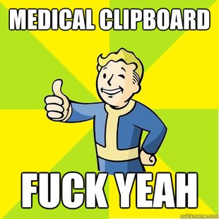 Fallout new vegas