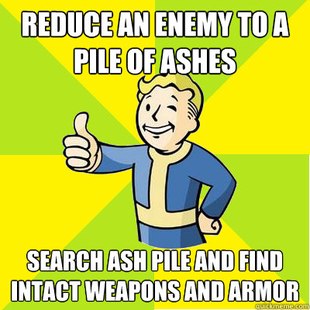Fallout new vegas