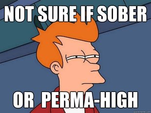 Futurama Fry