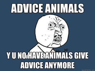 Y U No