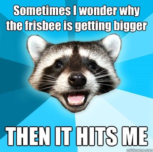 Lame Pun Coon