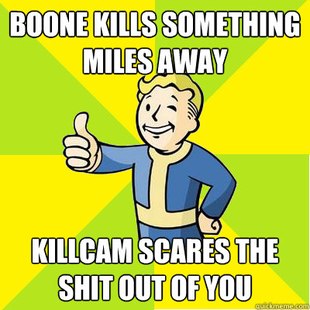 Fallout new vegas