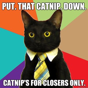 Business Cat