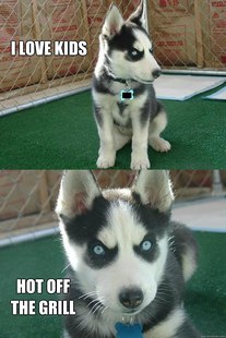 Insanity puppy