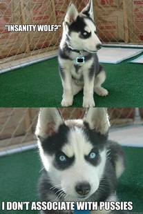 Insanity puppy