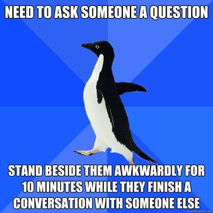 Socially Awkward Penguin