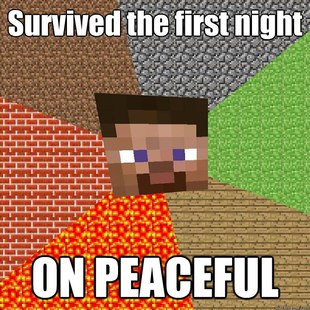 Minecraft