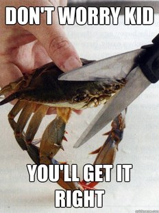 Optimistic Crab