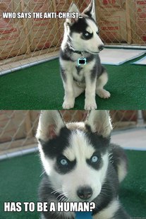 Insanity puppy