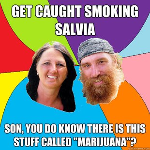 Overly Permissive Hippie Parents