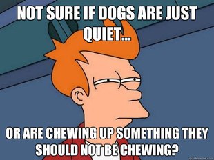Futurama Fry