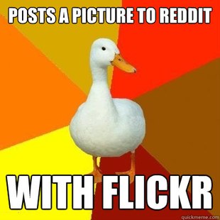 Tech Impaired Duck
