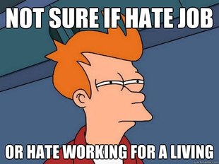 Futurama Fry