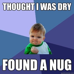 Success Kid