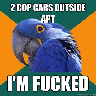 Paranoid Parrot
