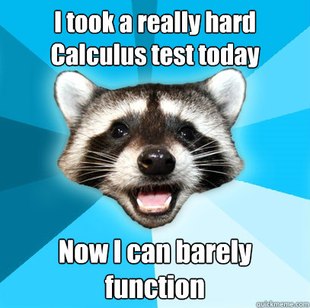 Lame Pun Coon