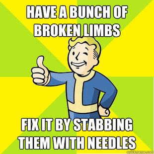 Fallout new vegas