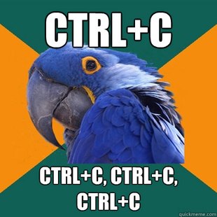 Paranoid Parrot