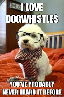 Hipster Dog