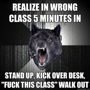 Insanity Wolf