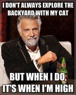 The Most Interesting Man In The World