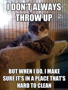 The Most Interesting Cat in the World