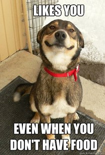 Good Dog Greg