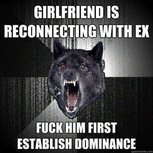 Insanity Wolf