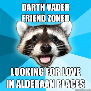 Lame Pun Coon