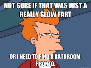 Futurama Fry