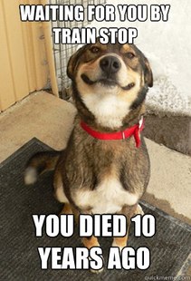 Good Dog Greg