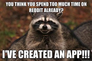 Evil Plotting Raccoon