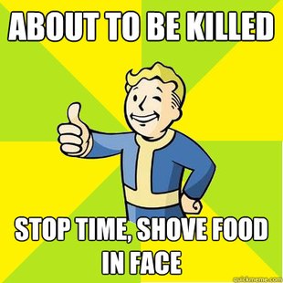 Fallout new vegas