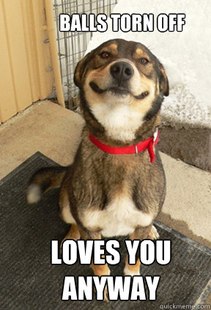 Good Dog Greg