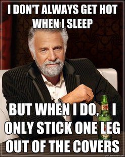 The Most Interesting Man In The World