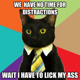 Business Cat