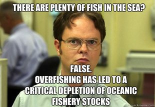 Schrute