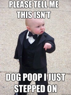 Baby Godfather